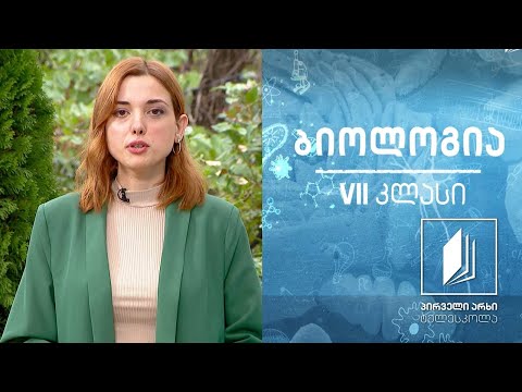 ბიოლოგია, VII კლასი - მიკროორგანიზმები, ვირუსები #ტელესკოლა